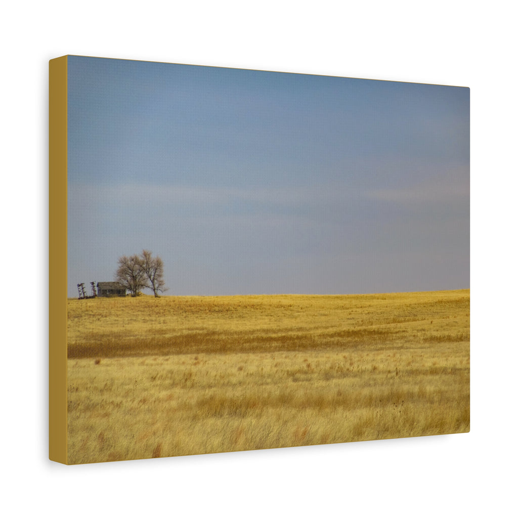 Prairie Field Canvas Print — Minimal Landscape Wall Art
