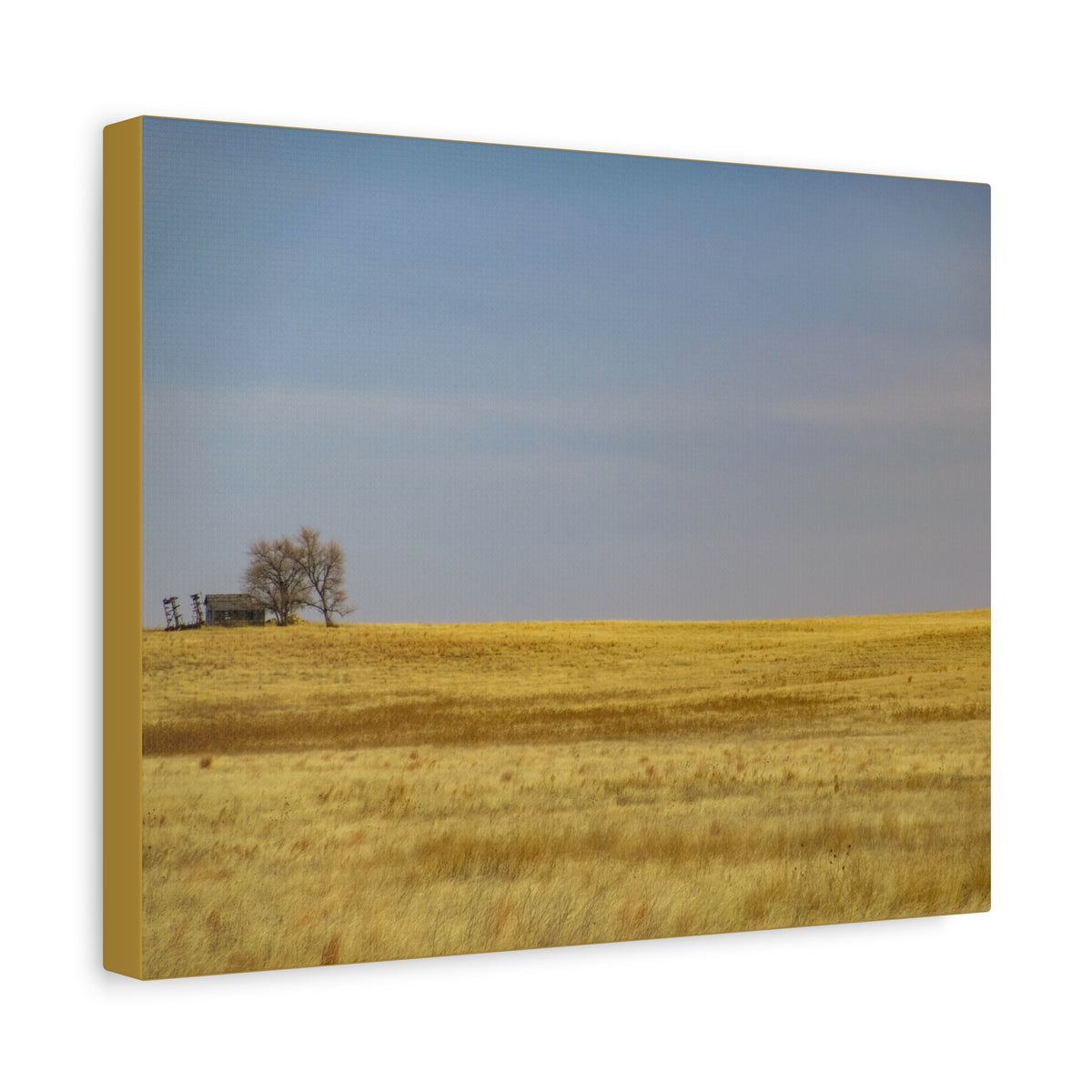 Prairie Field Canvas Print — Minimal Landscape Wall Art