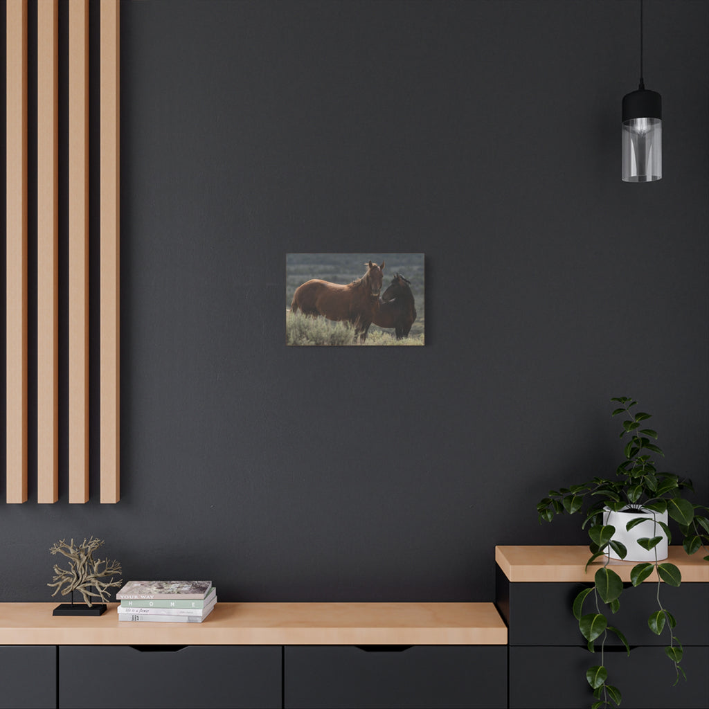 Wild Mustang Canvas Print — Rustic Horse Photography Stretched Matte Canvas