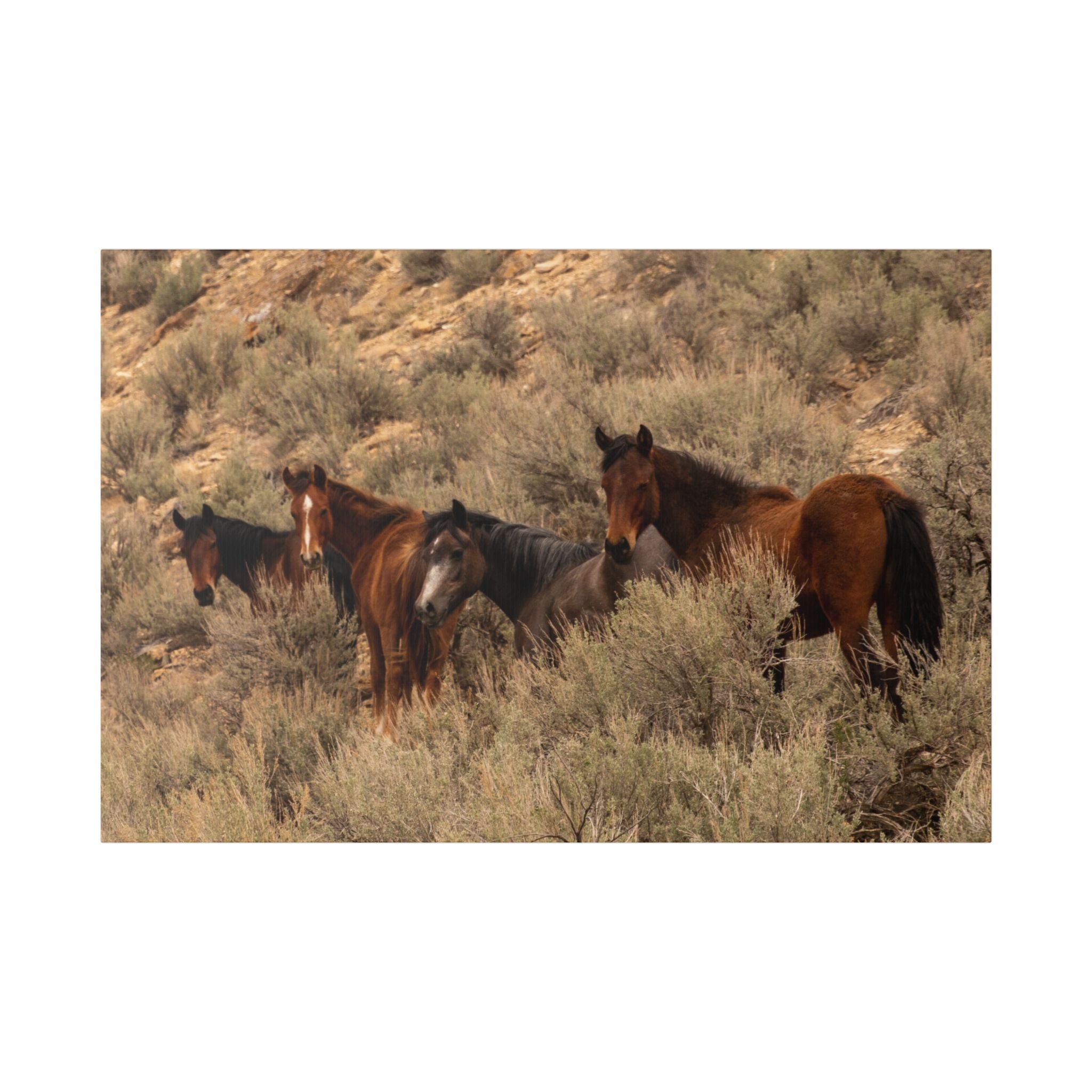 Wild Horses Canvas Print — Rustic Western Wall Art