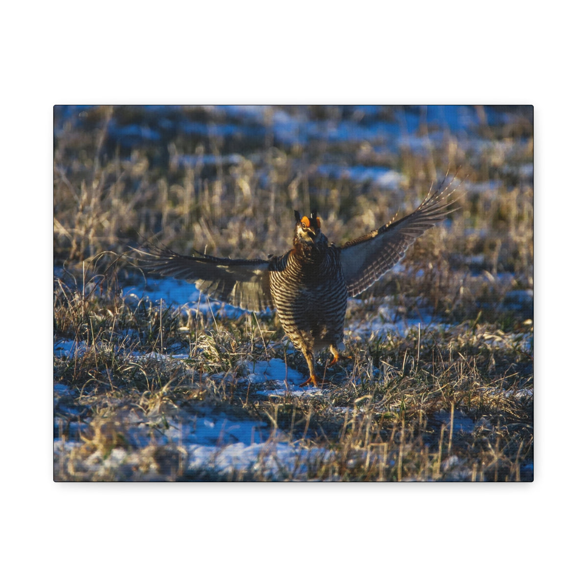 Matte canvas print by Printify, stretched on a 1.25-inch frame, showcasing a smooth, high-quality textured surface.