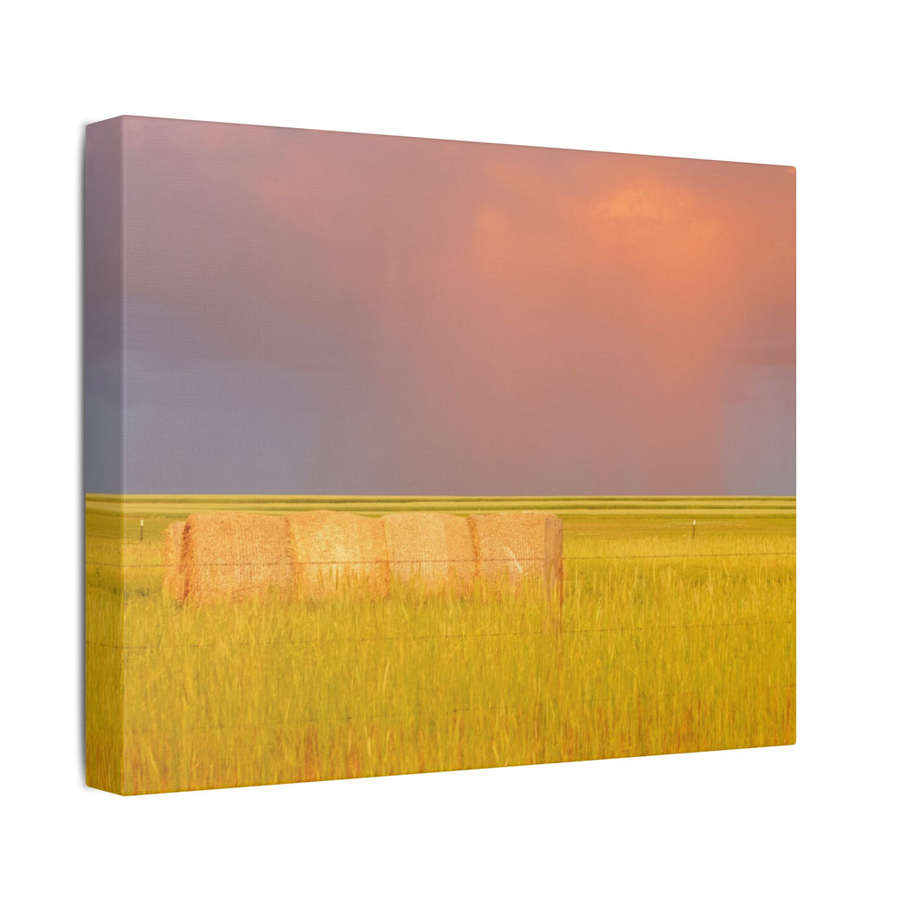 Prairie Clouds Canvas Print — Golden Field with Rolling Western Clouds