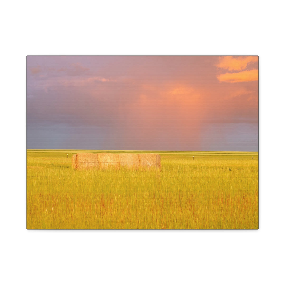 Golden Prairie Hay Bale canvas wall art by Printify, matte stretched canvas depicting a serene rural hay bale scene.