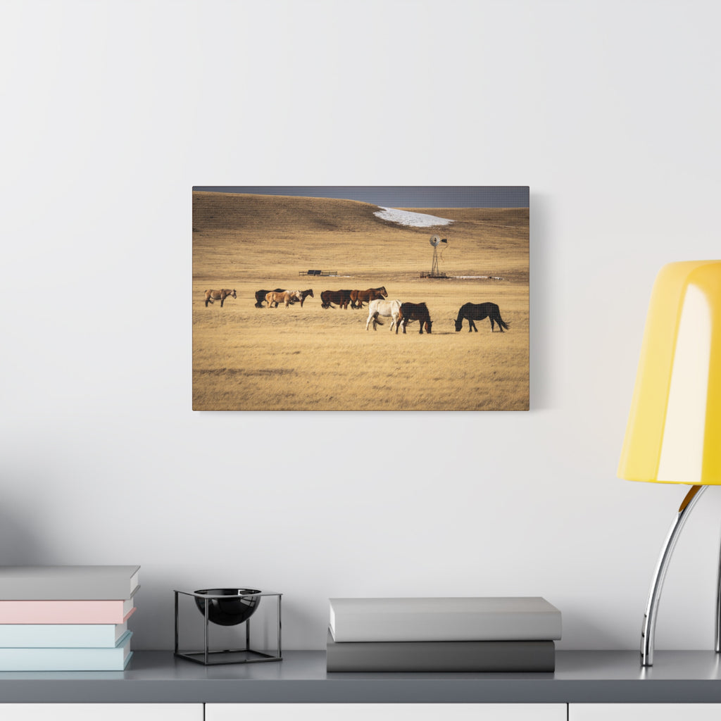 Grazing Horses Canvas Print – Rustic Prairie Wall Art (Matte Stretched 1.25")