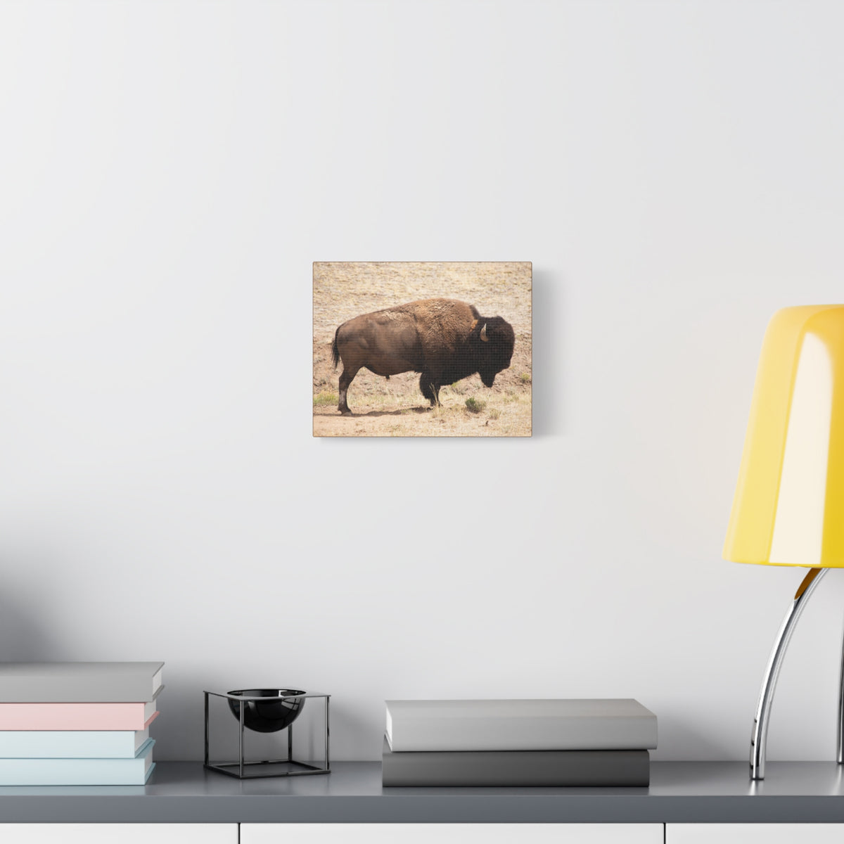 Bison Canvas Wall Art — Matte Stretched 1.25" Wildlife Print