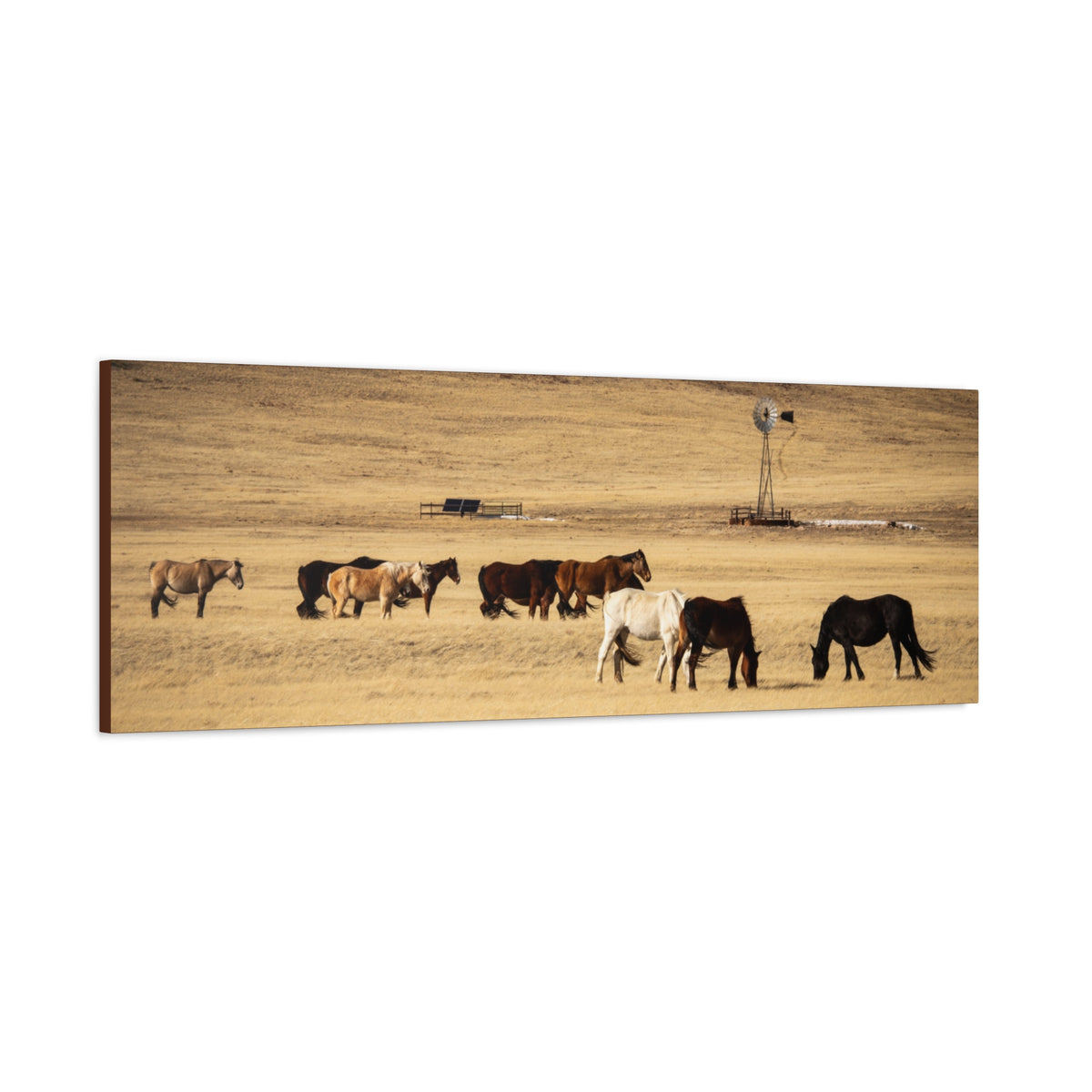 Grazing Horses Canvas Print – Rustic Prairie Wall Art (Matte Stretched 1.25")