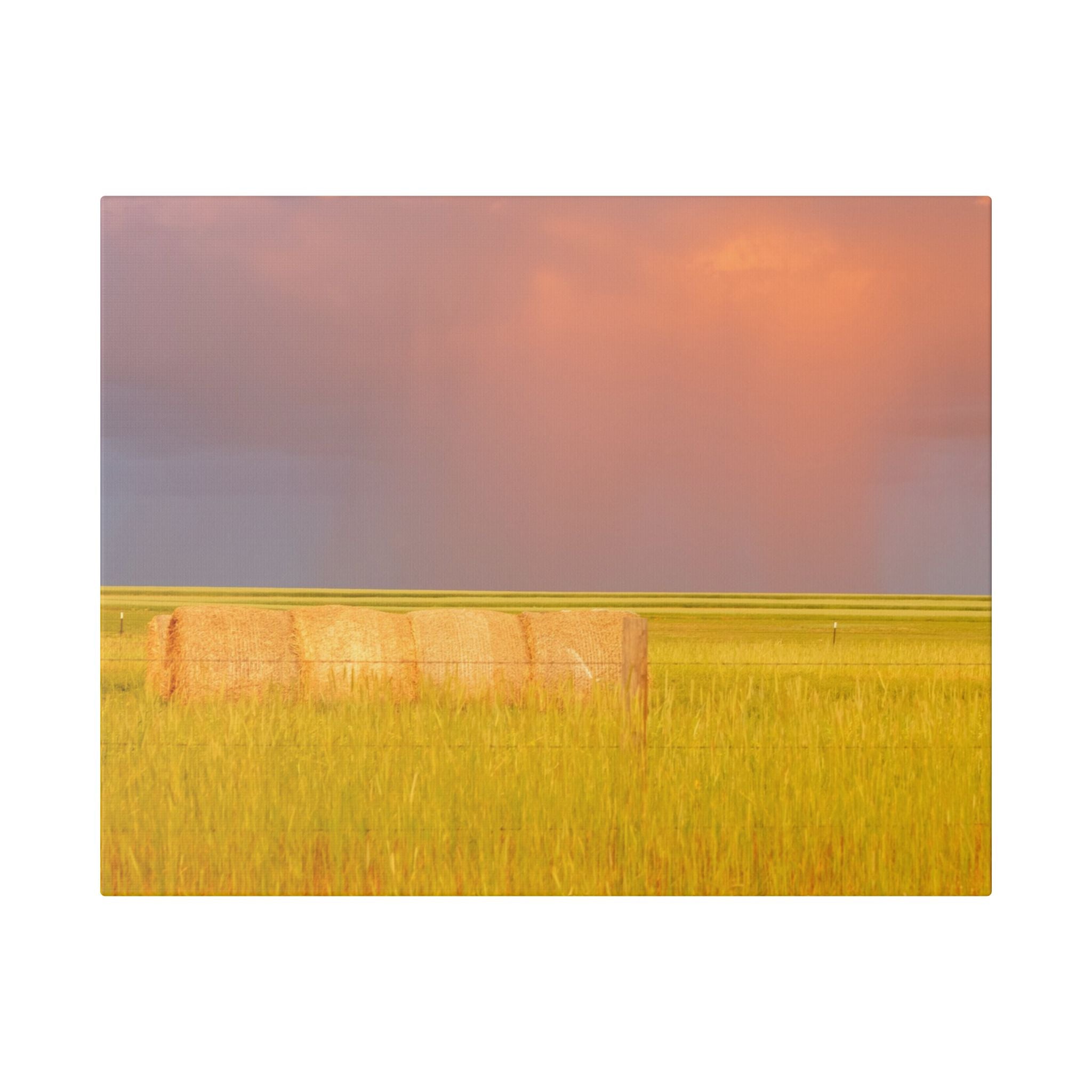 Prairie Clouds Canvas Print — Golden Field with Rolling Western Clouds