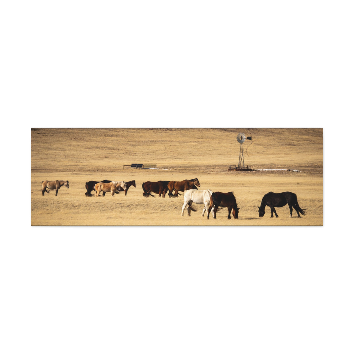 Rustic prairie wall art canvas print featuring grazing horses in a natural setting, matte stretched 1.25-inch canvas by Printify.
