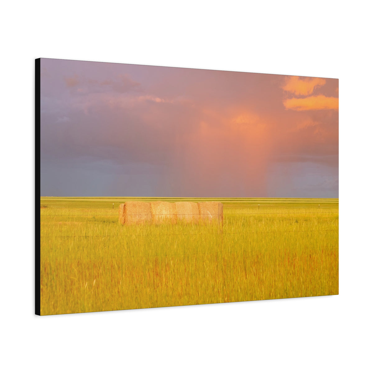 Golden Prairie Hay Bale Canvas | Matte Stretched Wall Art