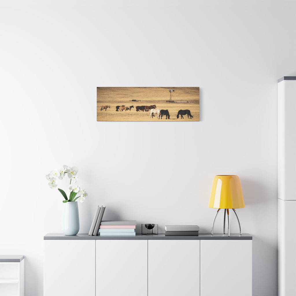 Grazing Horses Canvas Print – Rustic Prairie Wall Art (Matte Stretched 1.25")