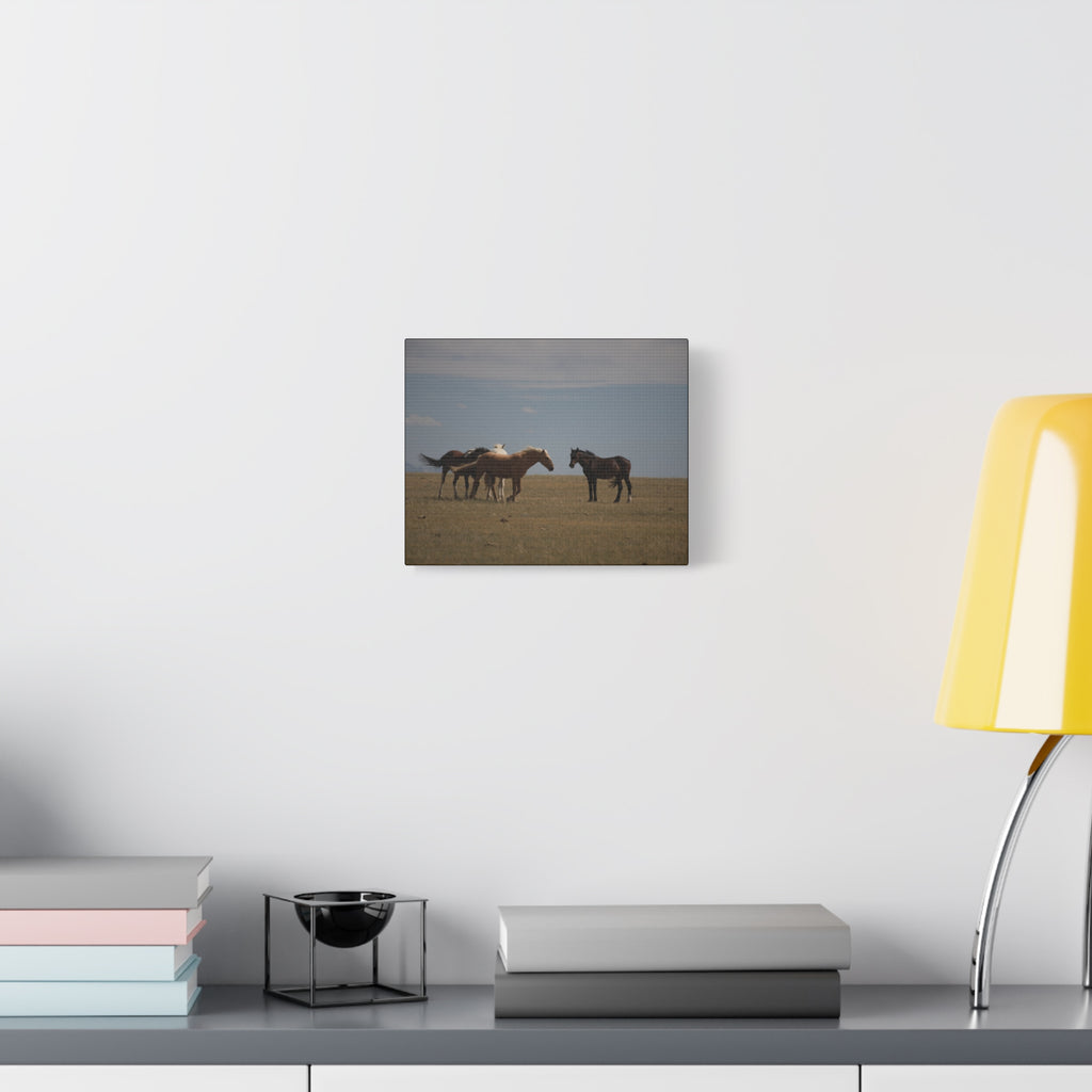 Wild Horses pastoral landscape matte canvas wall art, stretched canvas print by Printify featuring wild horses in nature scene