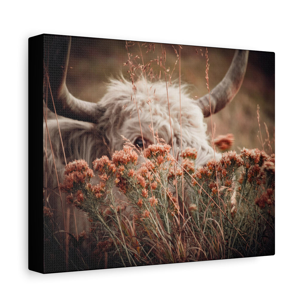 Rustic Highland Cow canvas wall art by Printify featuring a botanical meadow scene in natural colors.