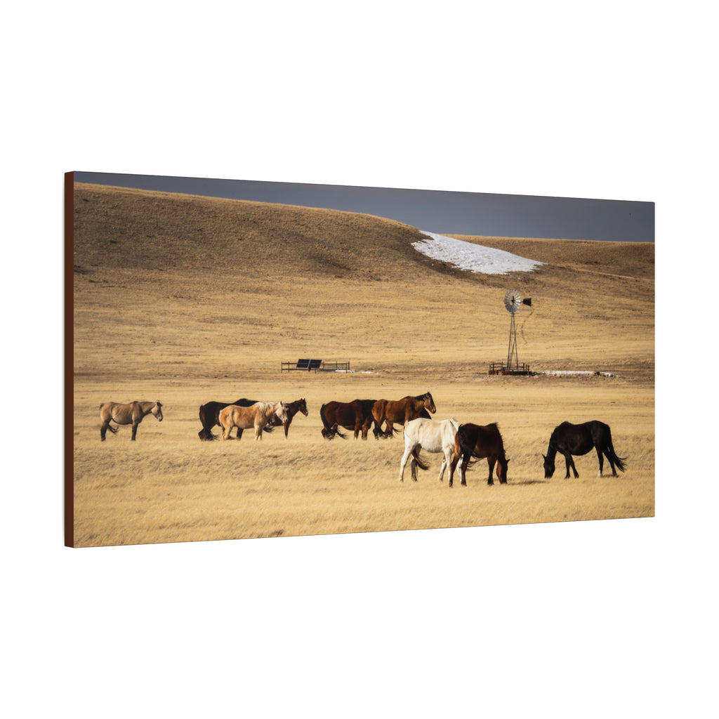 Grazing Horses Canvas Print – Rustic Prairie Wall Art (Matte Stretched 1.25")