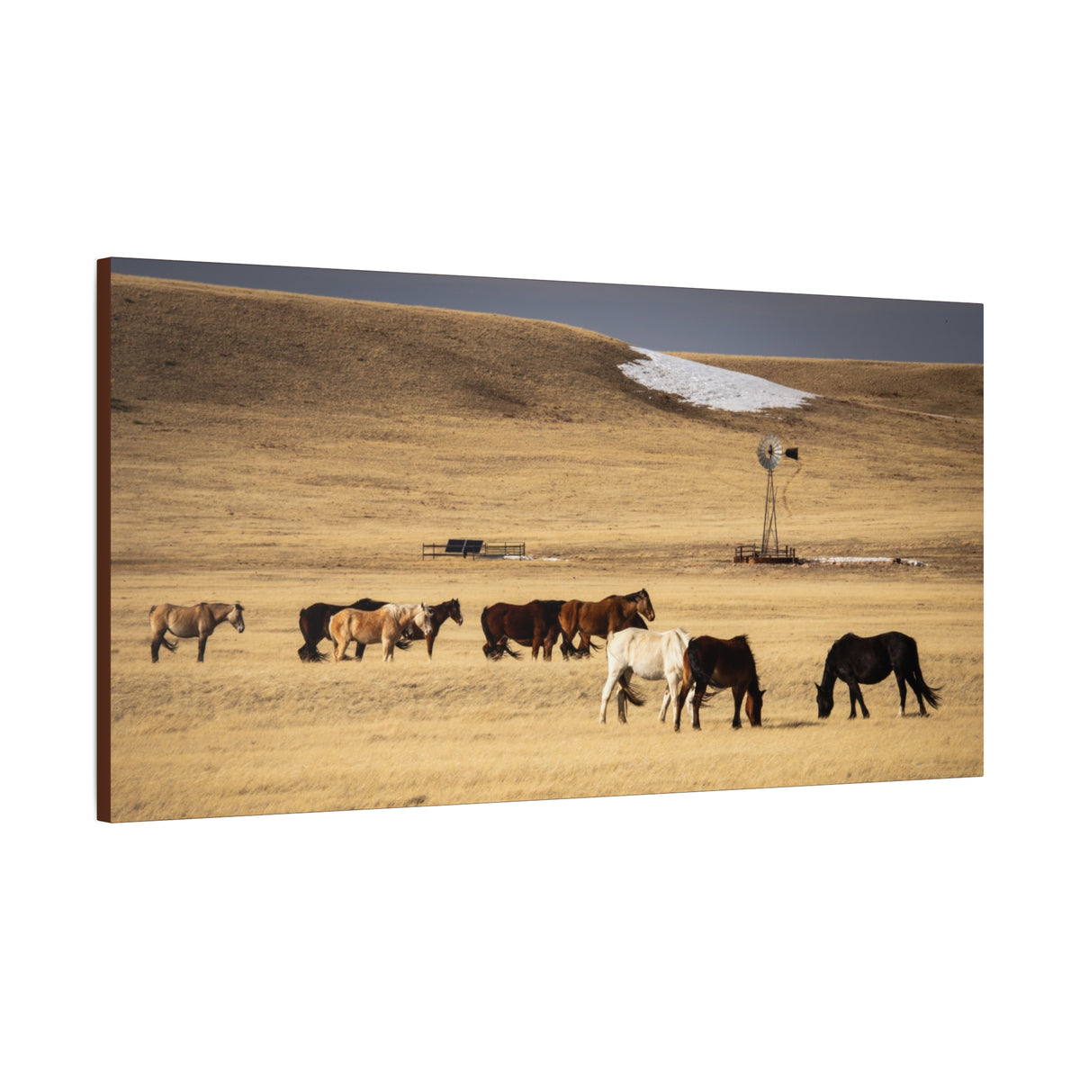 Grazing Horses Canvas Print – Rustic Prairie Wall Art (Matte Stretched 1.25")
