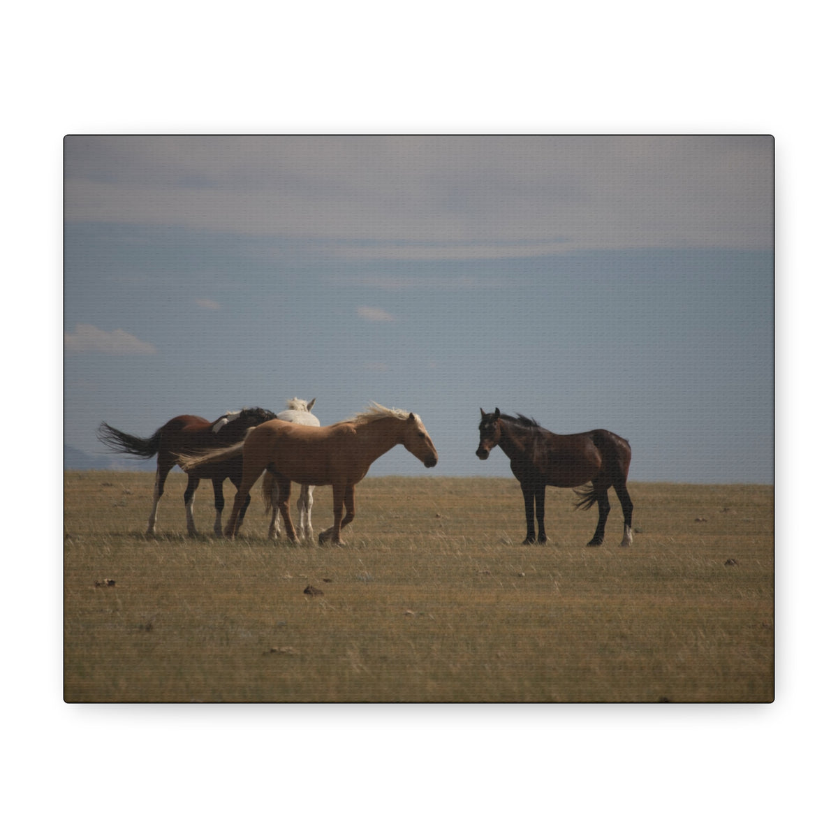 Wild Horses matte canvas wall art featuring a pastoral landscape, stretched canvas print by Printify.
