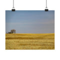Golden Prairie Landscape Poster — Matte Horizontal Wall Art