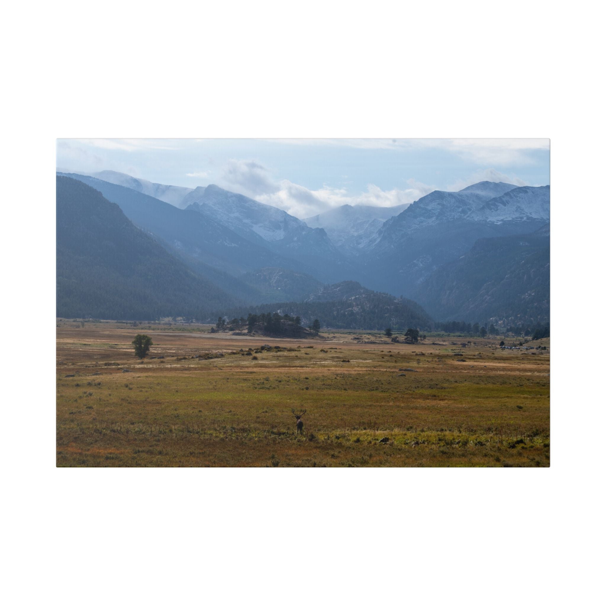Mountain Valley Landscape Canvas Print — 'Elk in the Foreground' Stretched Wall Art