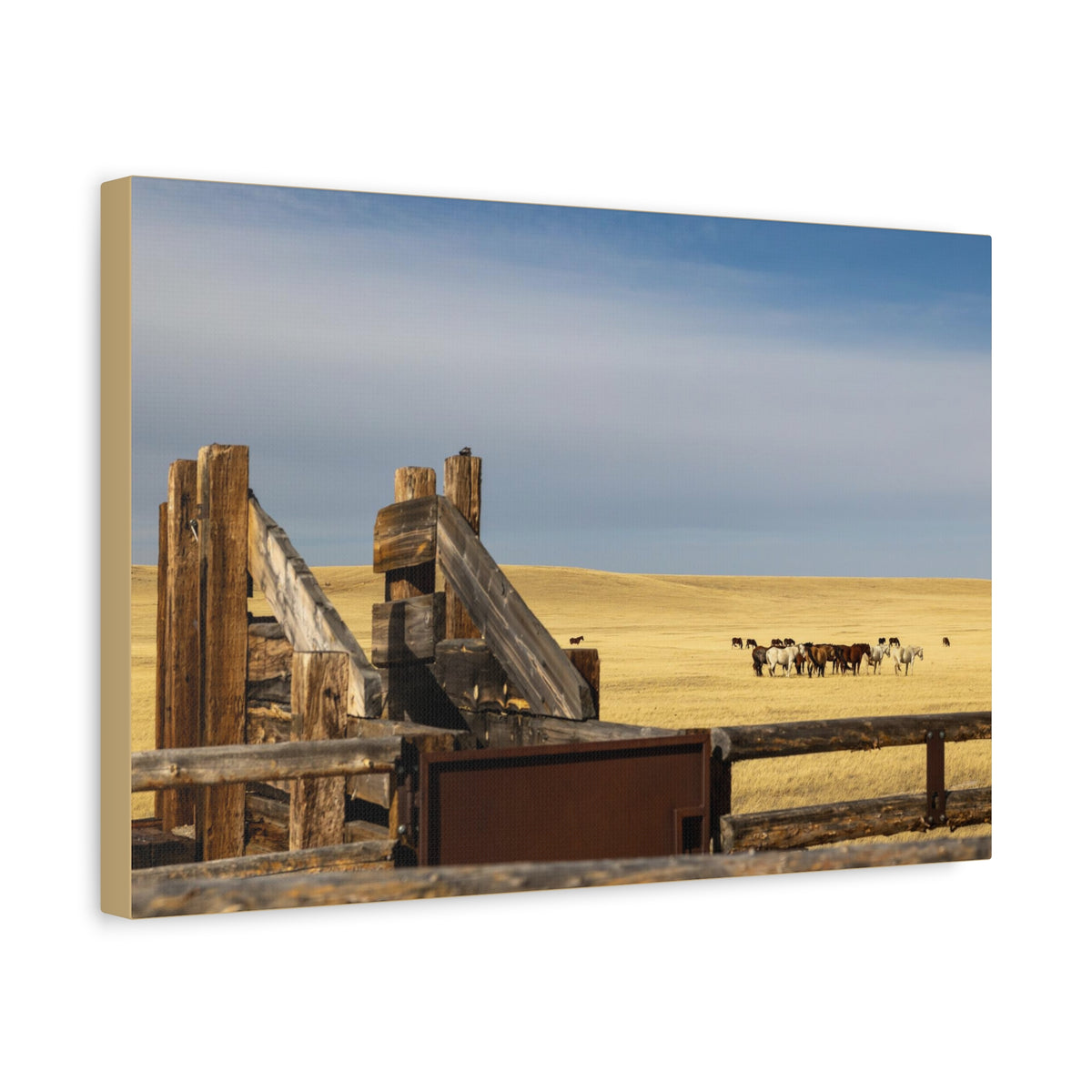Rustic Open Range Horse Canvas Print — Stretched Matte Wall Art