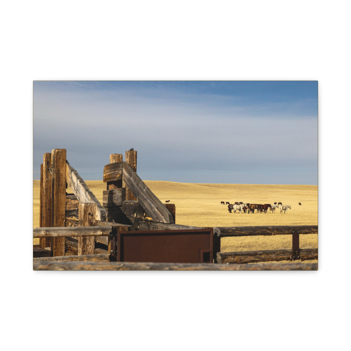 Rustic open range horse canvas print by Printify, stretched matte wall art featuring a detailed horse scene on durable canvas.