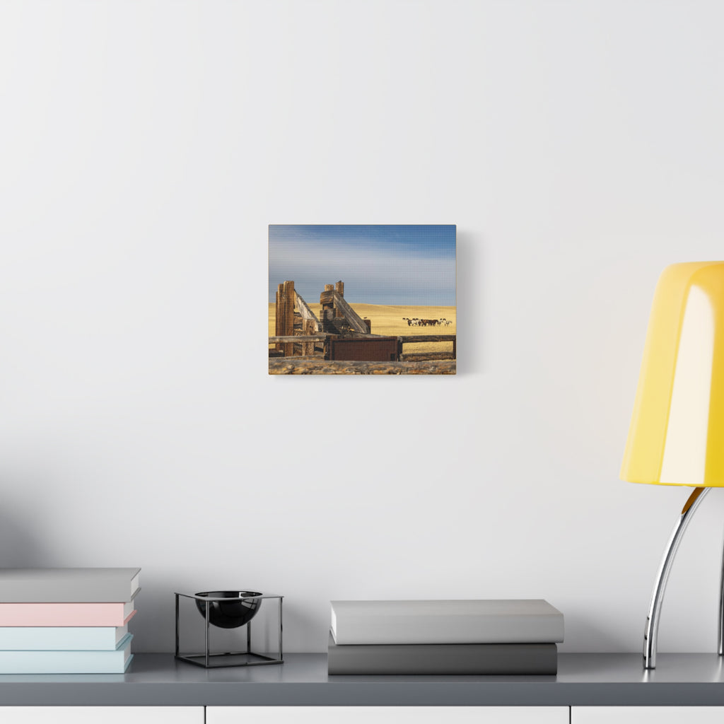 Rustic Open Range Horse Canvas Print — Stretched Matte Wall Art
