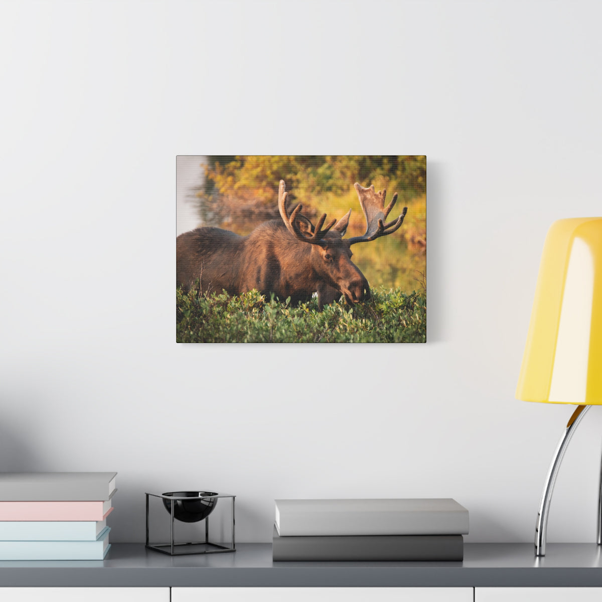 Bull Moose Wall Art Matte Canvas