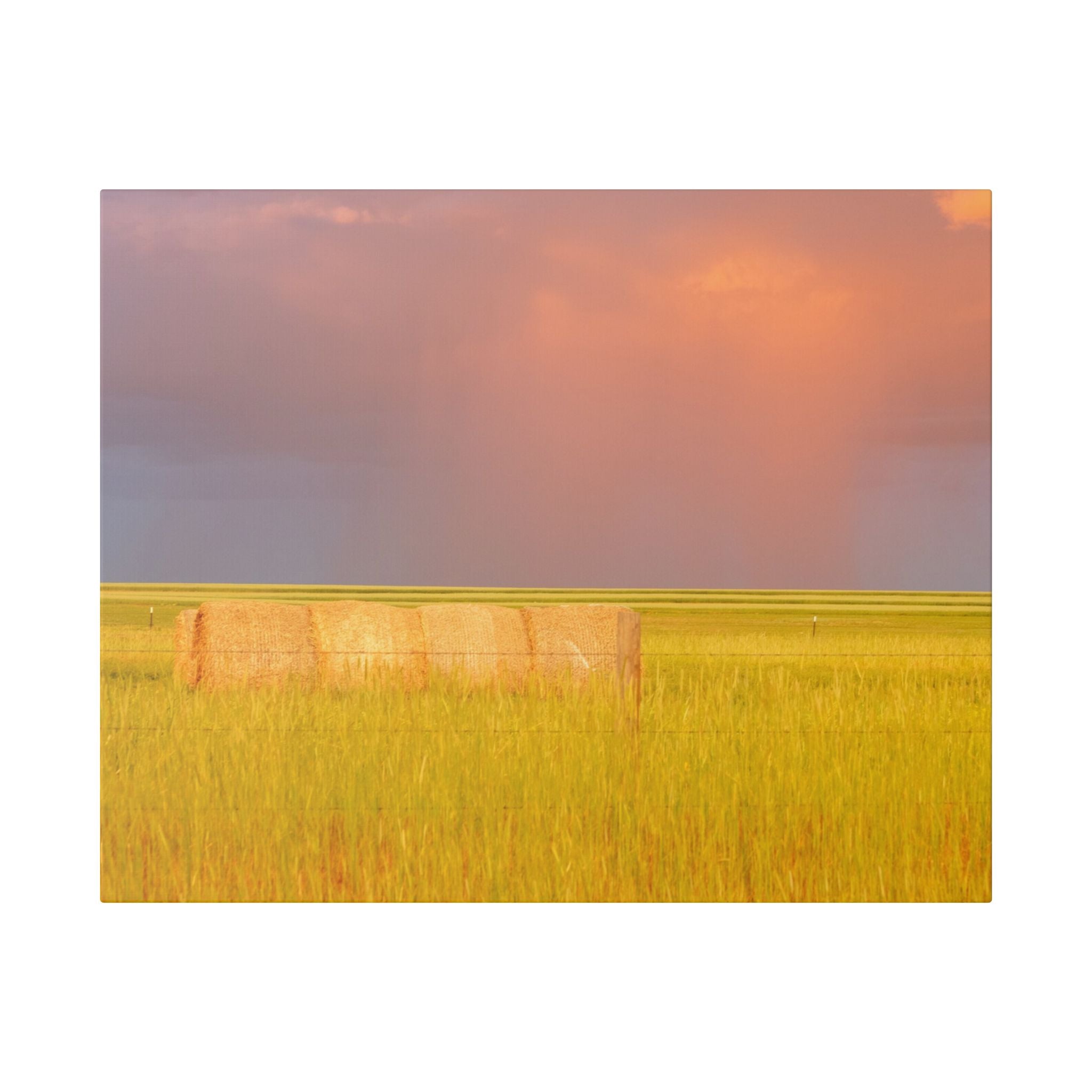 Prairie Clouds Canvas Print — Golden Field with Rolling Western Clouds