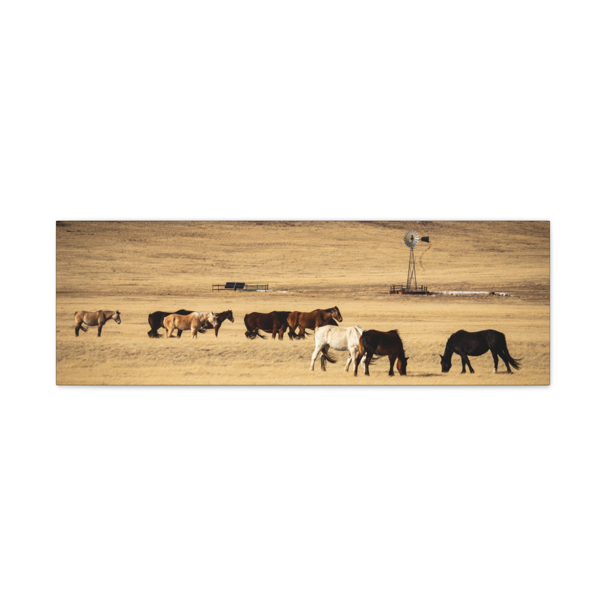 Rustic prairie scene with grazing horses on a matte stretched canvas print by Printify, ideal for wall decor.