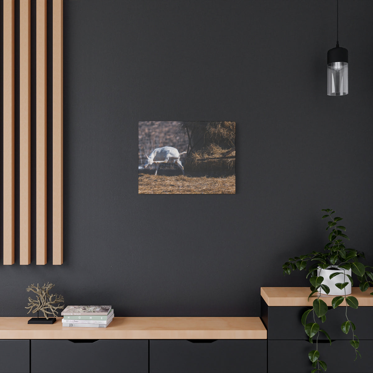 White Goat Canvas