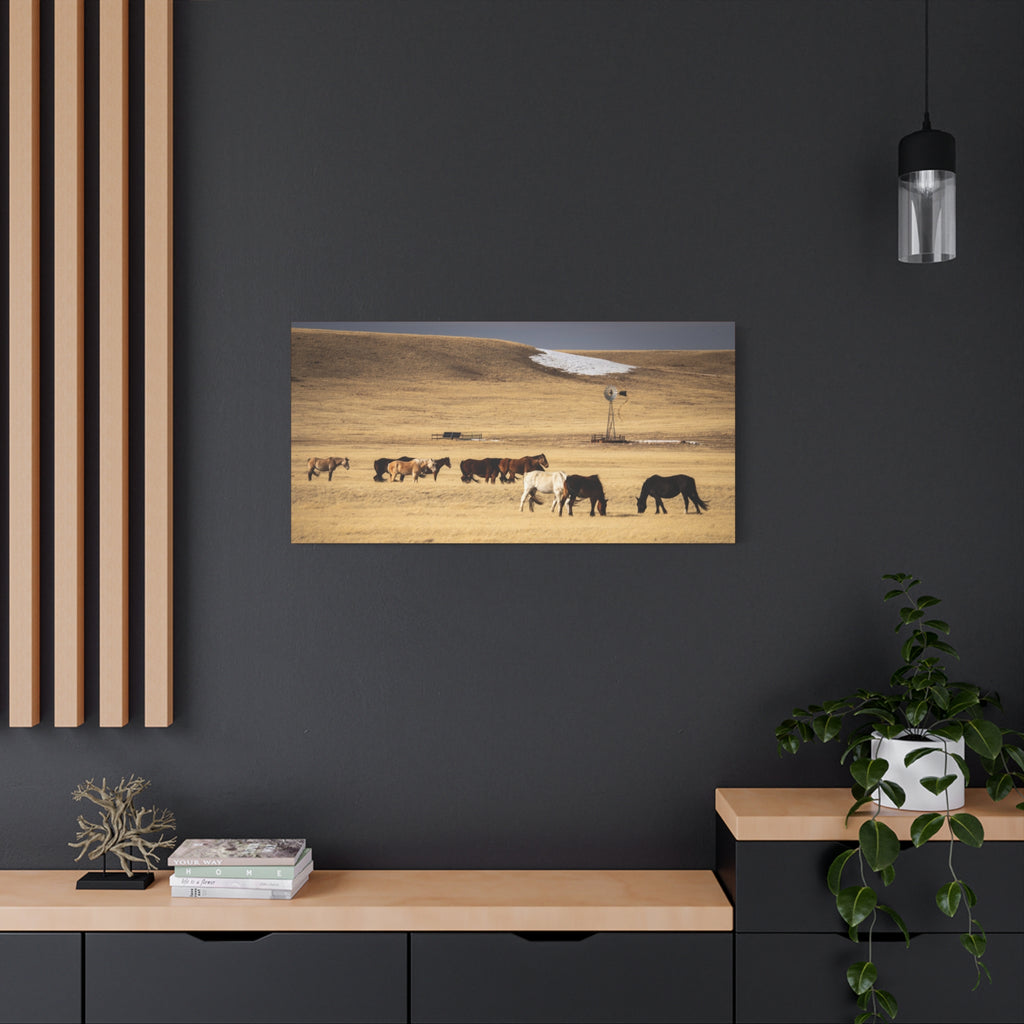 Grazing Horses Canvas Print – Rustic Prairie Wall Art (Matte Stretched 1.25")