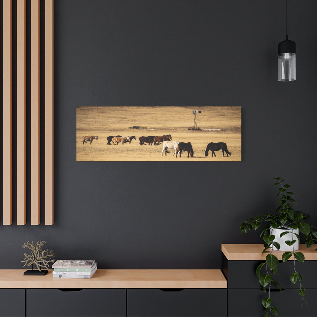 Grazing Horses Canvas Print – Rustic Prairie Wall Art (Matte Stretched 1.25")