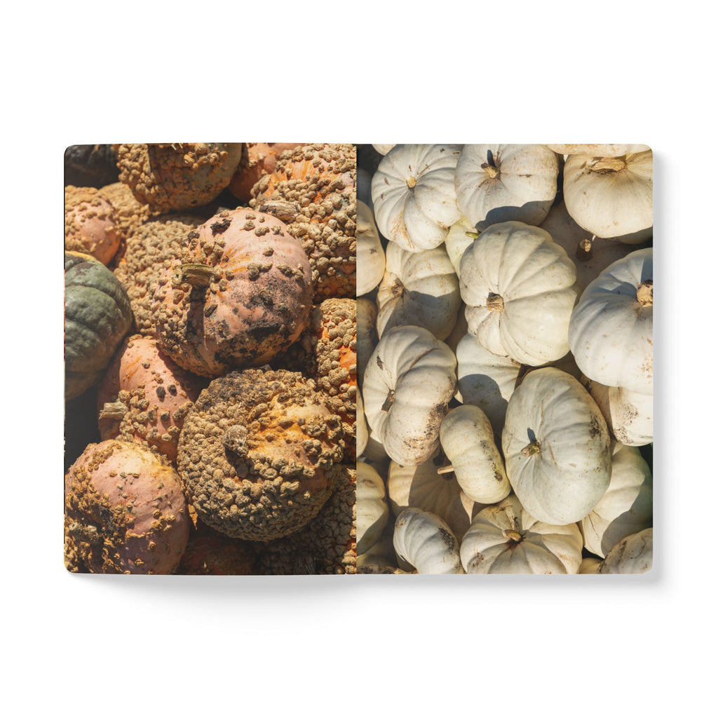 Autumn Gourds Softcover Journal