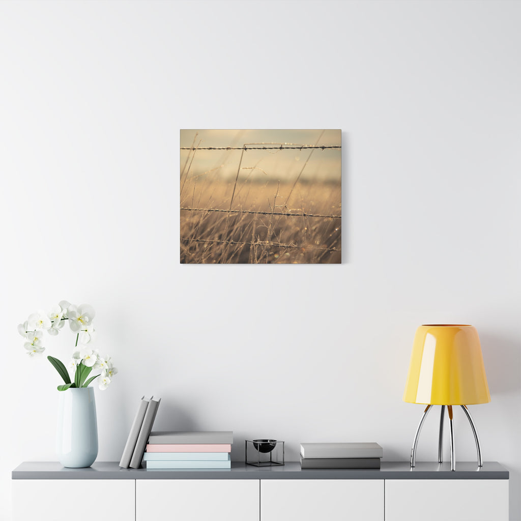 Golden Field Barbed Wire Canvas
