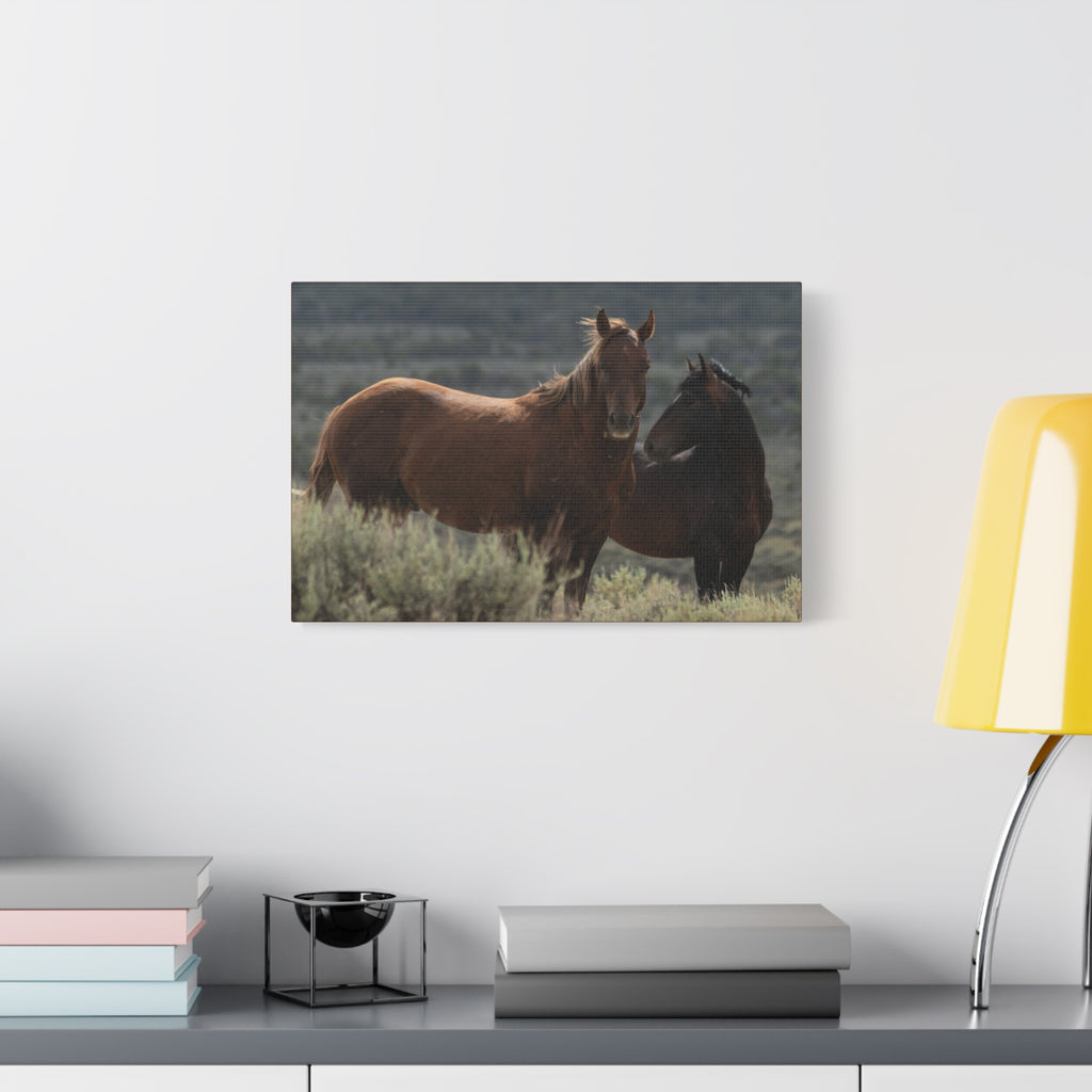 Wild Mustang Canvas Print — Rustic Horse Photography Stretched Matte Canvas