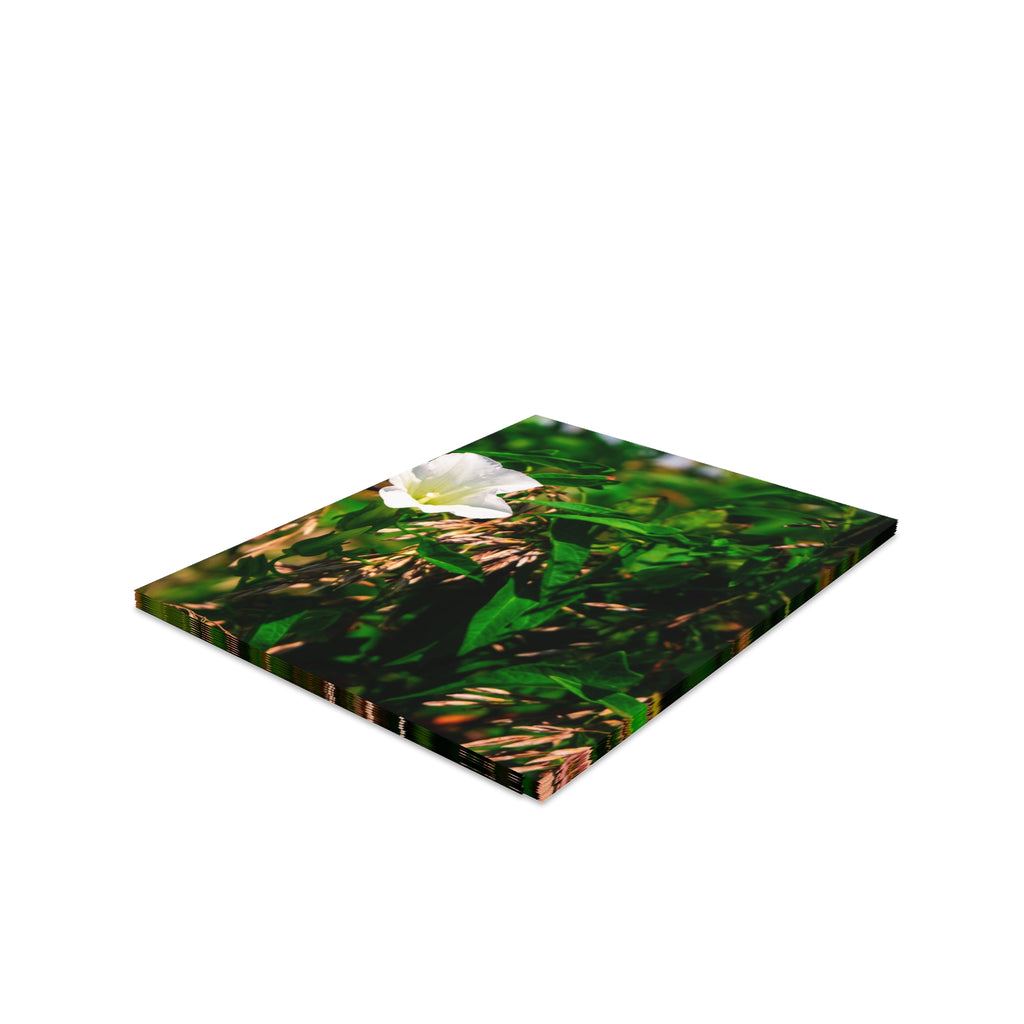 Floral White Morning Glory Greeting Cards — Pack of 8/16/24