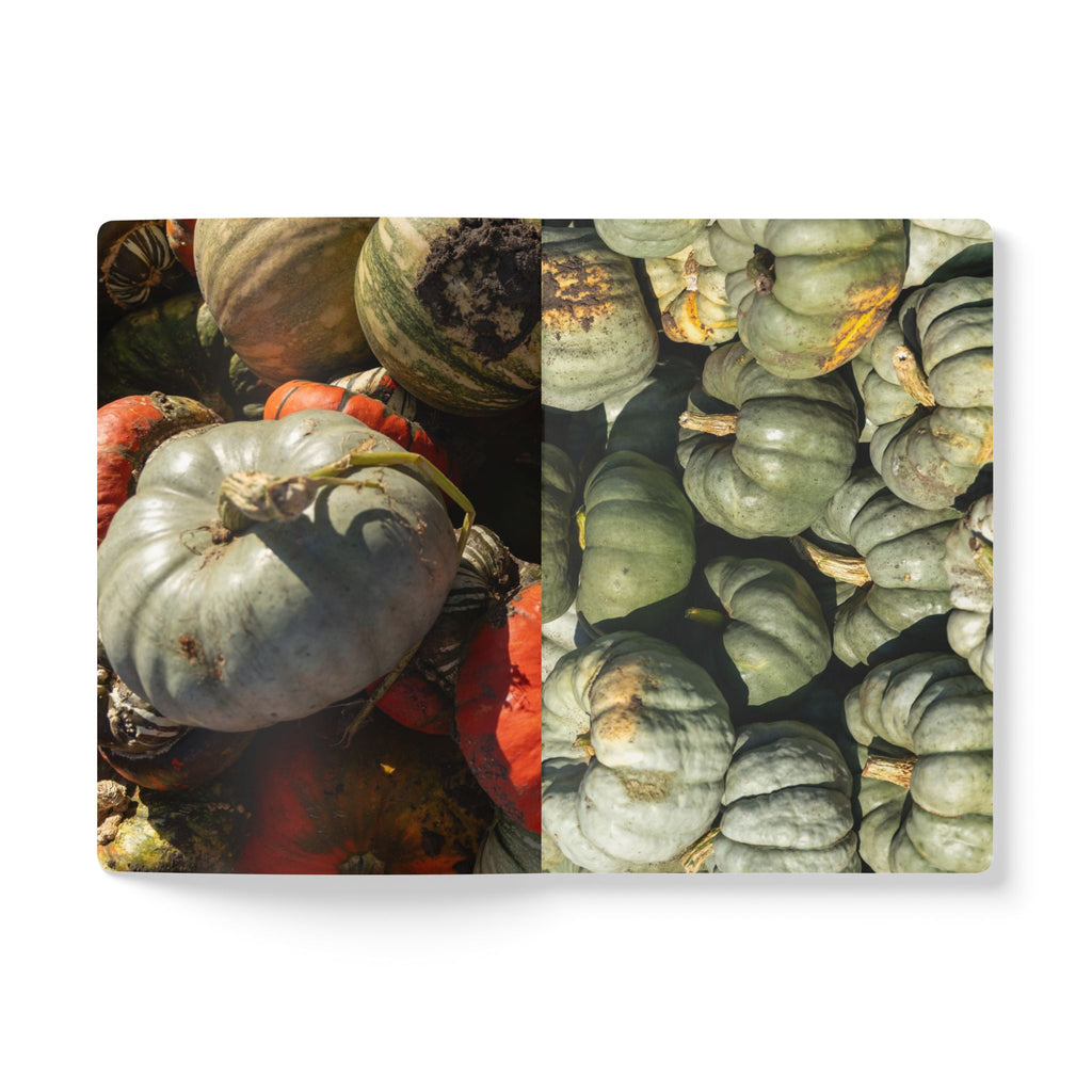 Autumn Gourds Softcover Journal