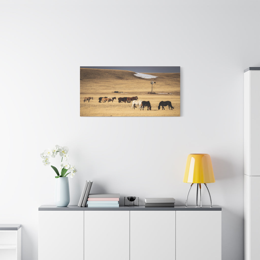 Grazing Horses Canvas Print – Rustic Prairie Wall Art (Matte Stretched 1.25")