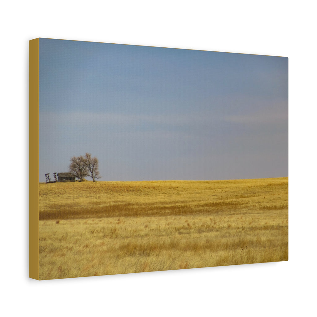 Prairie Field Canvas Print — Minimal Landscape Wall Art