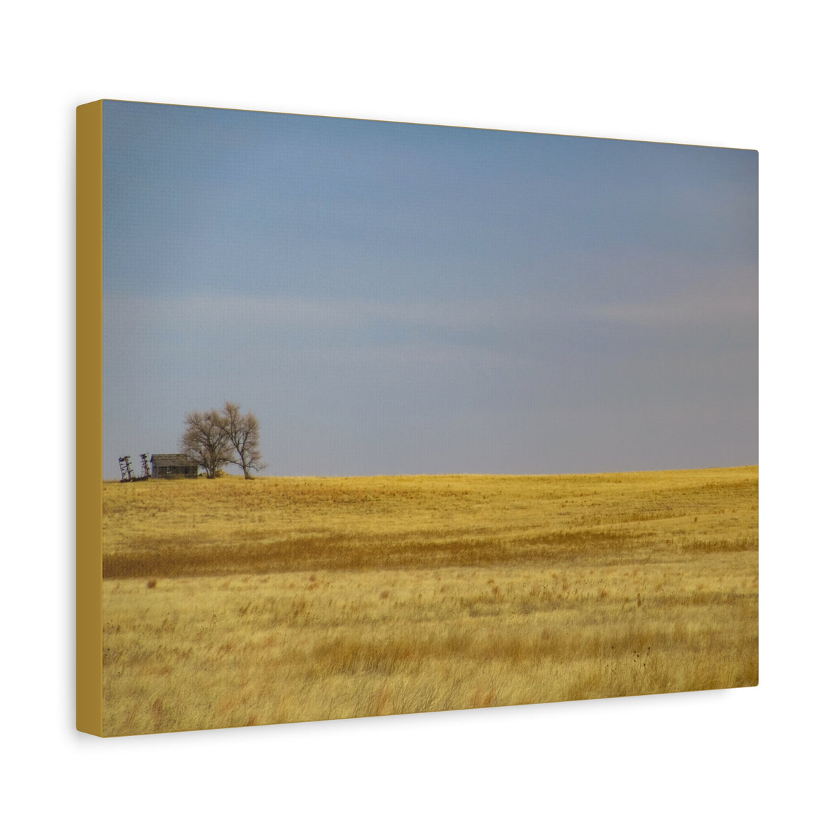 Prairie Field Canvas Print — Minimal Landscape Wall Art
