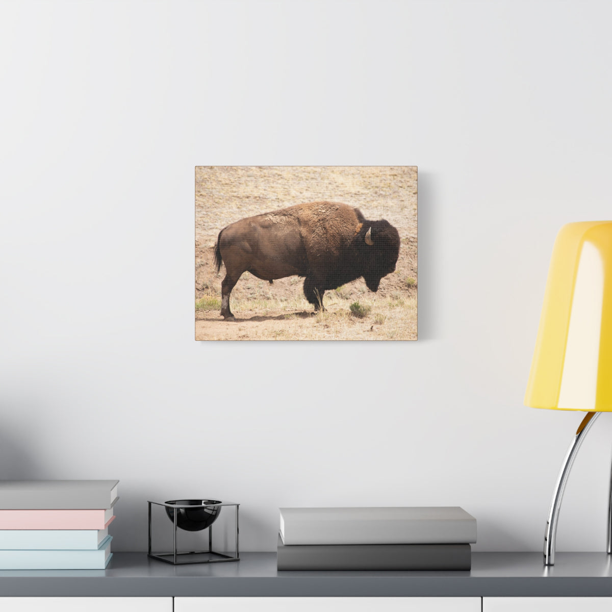 Bison Canvas Wall Art — Matte Stretched 1.25" Wildlife Print