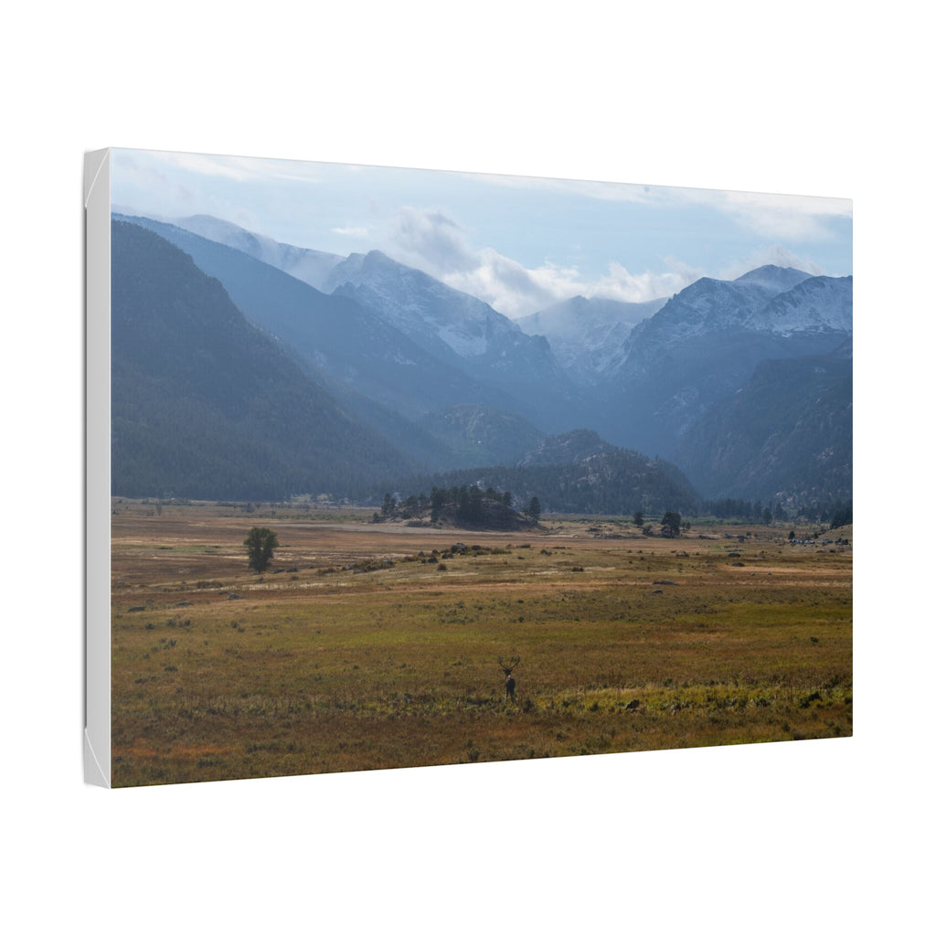 Mountain Valley Landscape Canvas Print — 'Elk in the Foreground' Stretched Wall Art