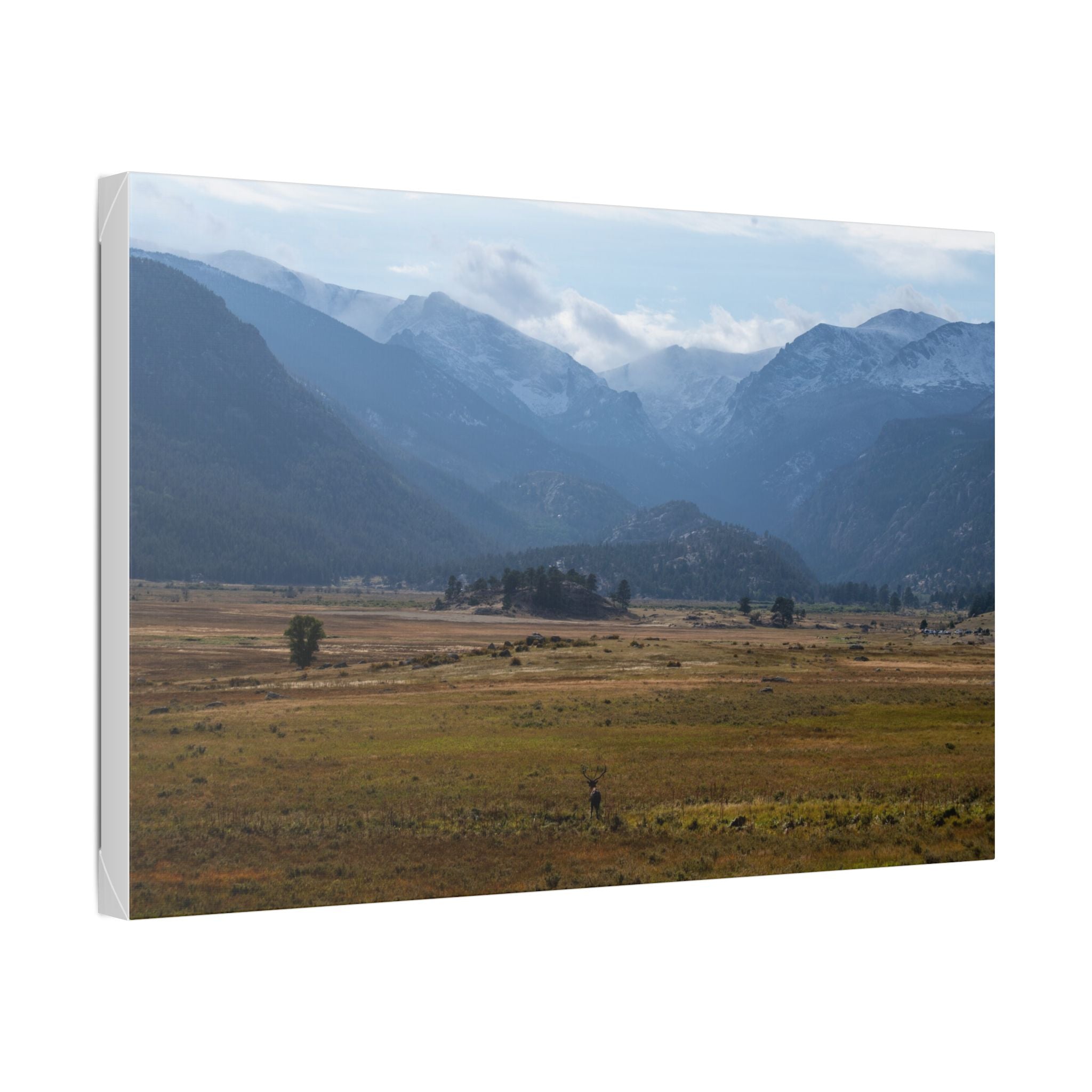 Mountain Valley Landscape Canvas Print — 'Elk in the Foreground' Stretched Wall Art