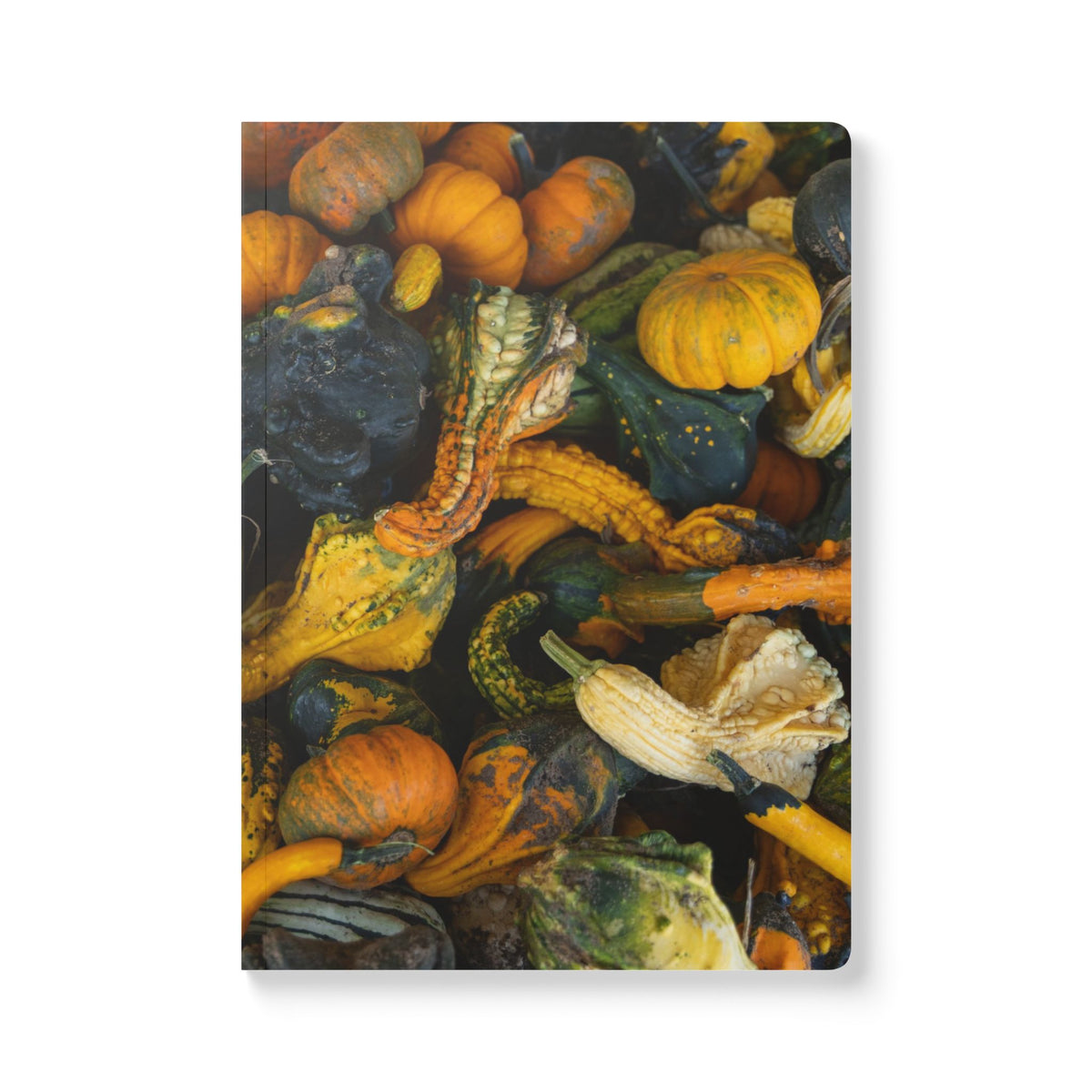 Autumn Gourds Softcover Journal