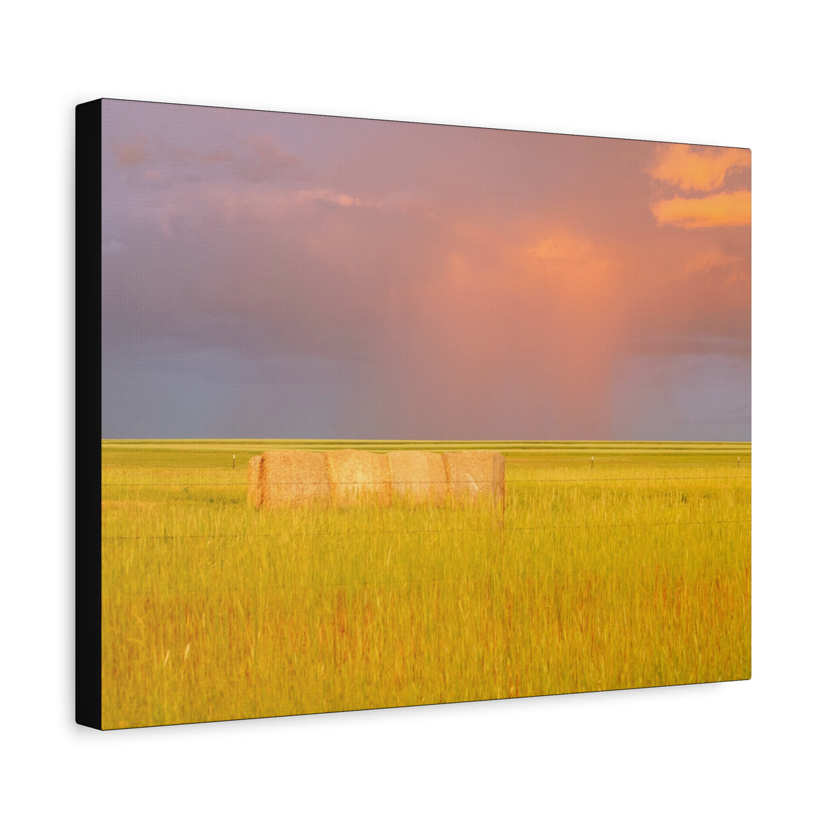 Golden Prairie Hay Bale Canvas | Matte Stretched Wall Art