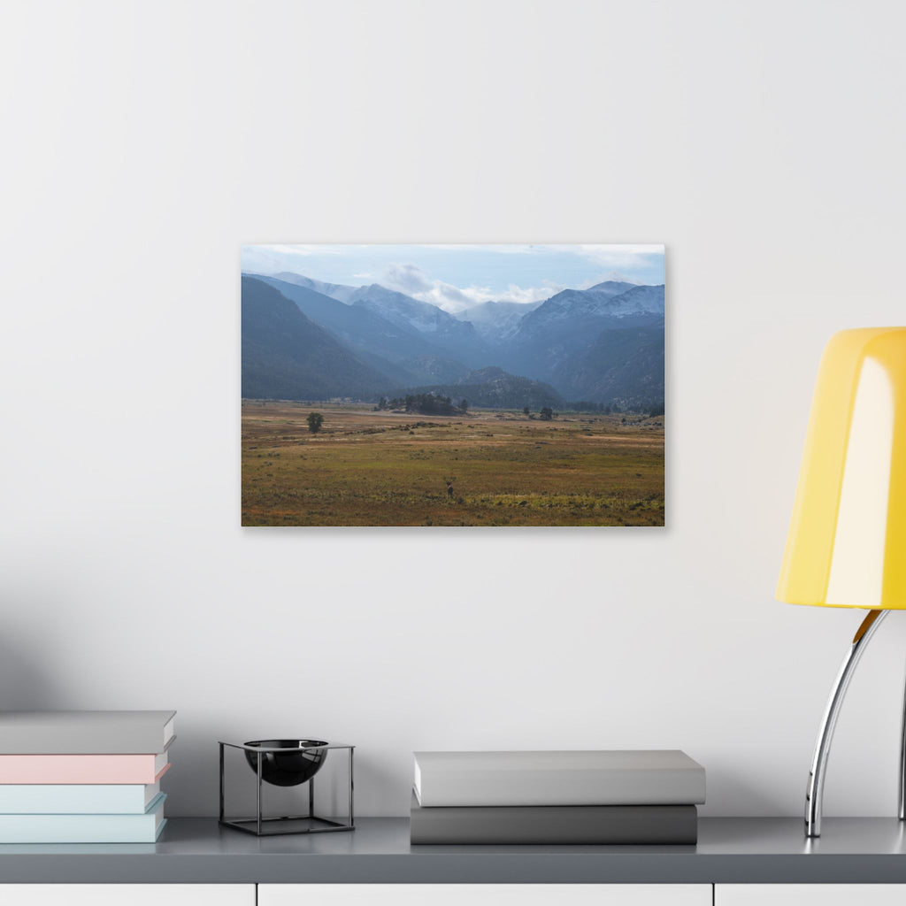 Mountain Valley Landscape Canvas Print — 'Elk in the Foreground' Stretched Wall Art