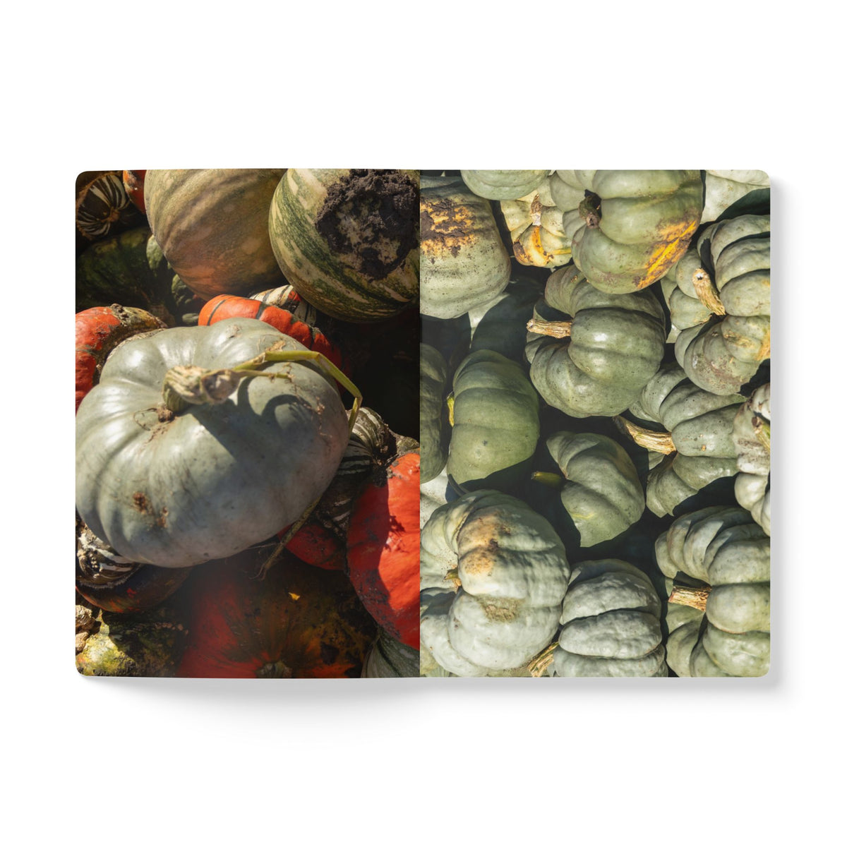 Autumn Gourds Softcover Journal