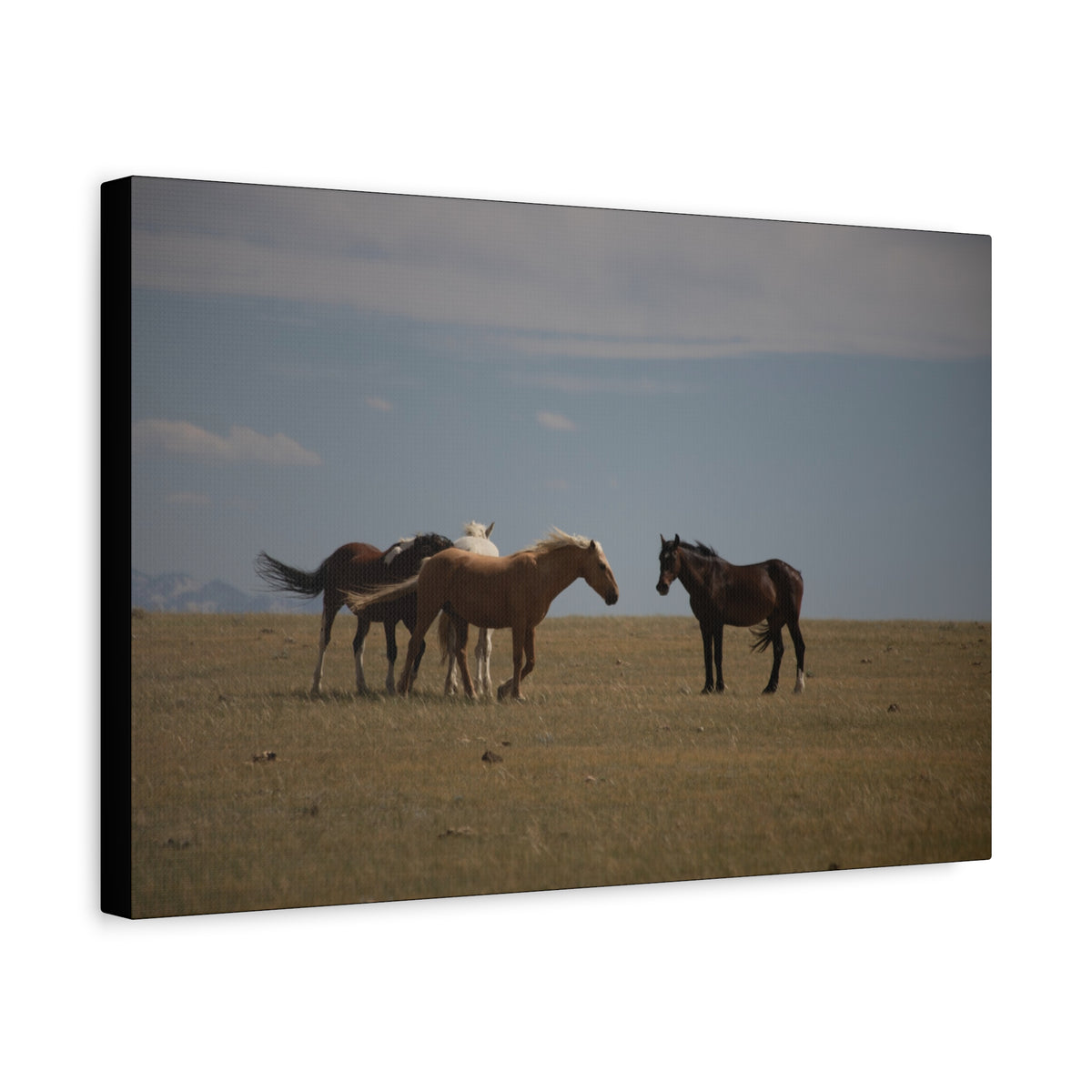 Wild Horses pastoral landscape canvas wall art by Printify, stretched matte canvas depicting wild horses in a natural setting.