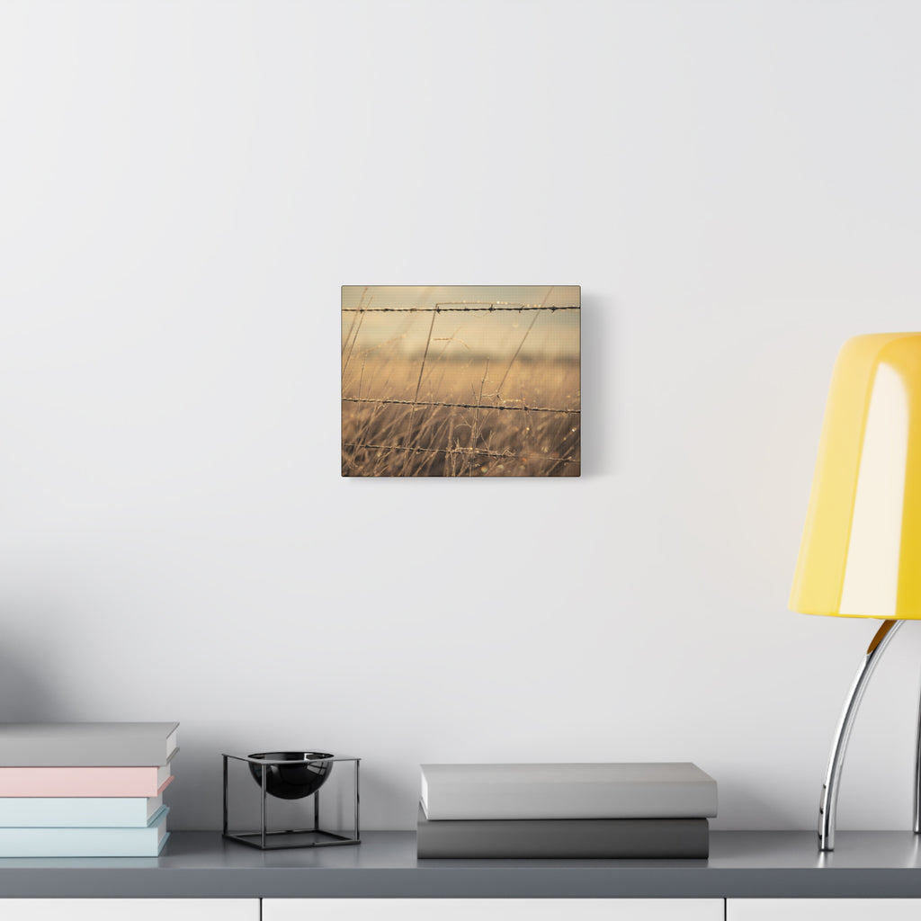 Golden Field Barbed Wire Canvas