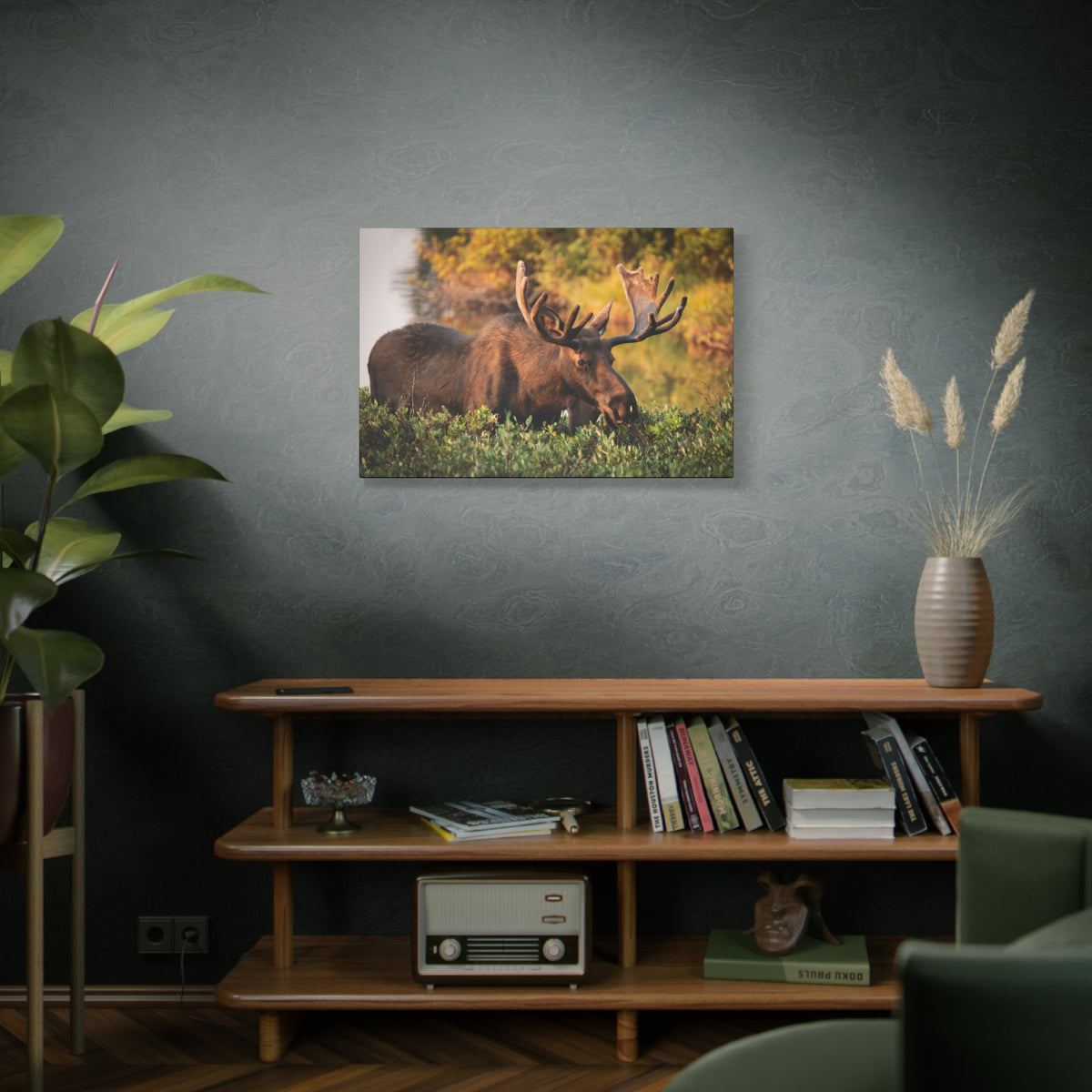 Bull Moose Wall Art Matte Canvas