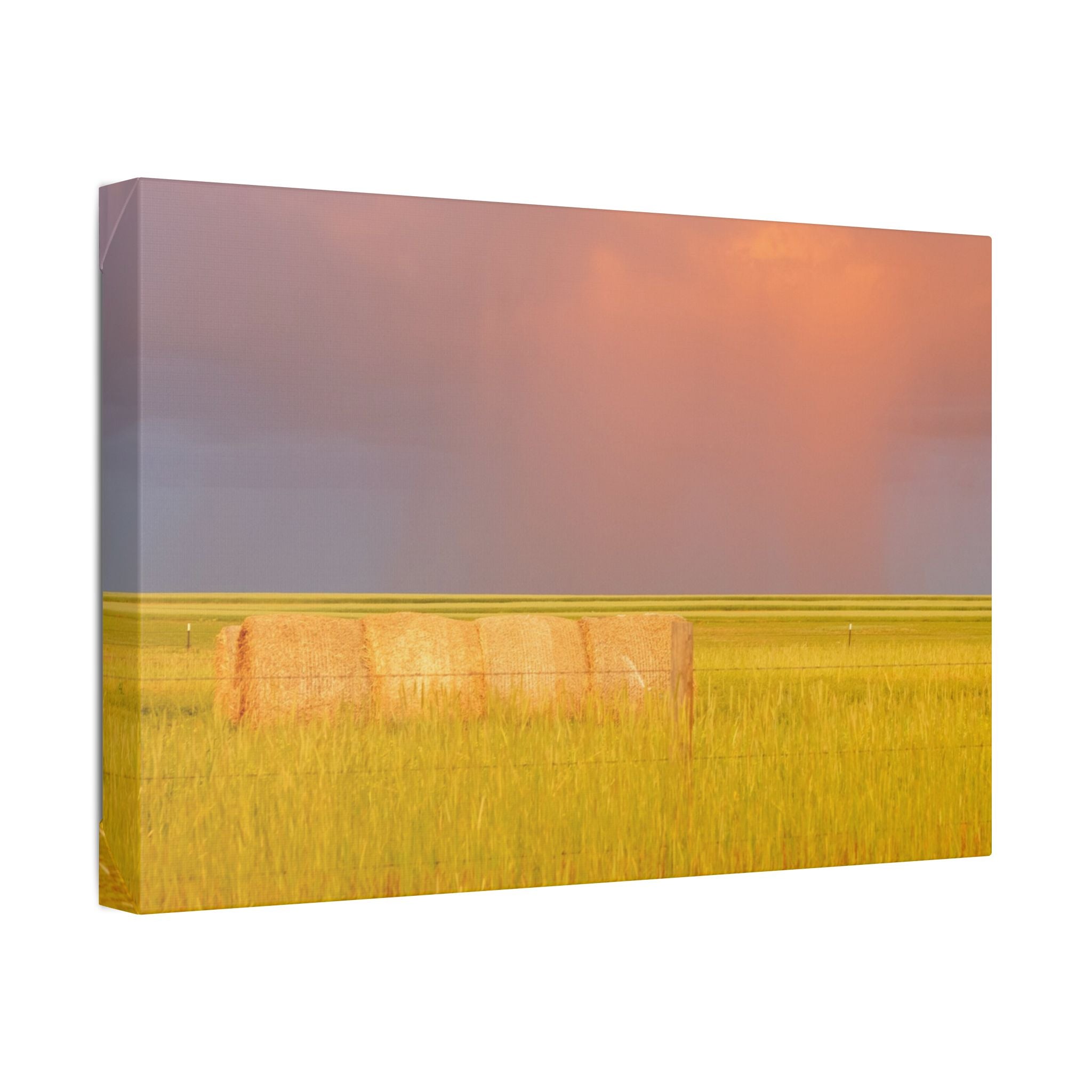 Prairie Clouds Canvas Print — Golden Field with Rolling Western Clouds