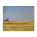 Prairie Field Canvas Print — Minimal Landscape Wall Art